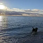 Seaside Oasis In - By Traum * 布拉万德
