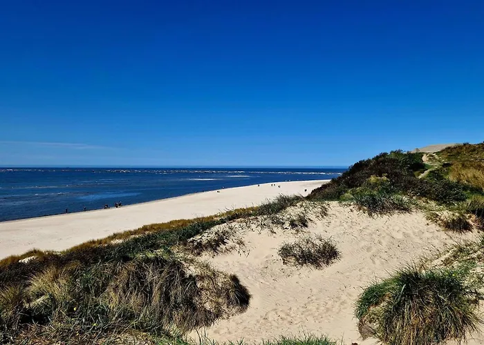 Vakantiehuis Seaside Oasis In - By Traum *