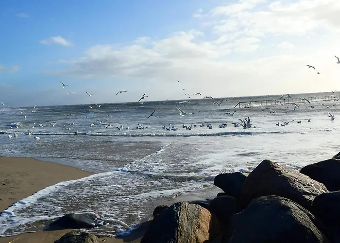 Seaside Oasis In - By Traum Vakantiehuis *